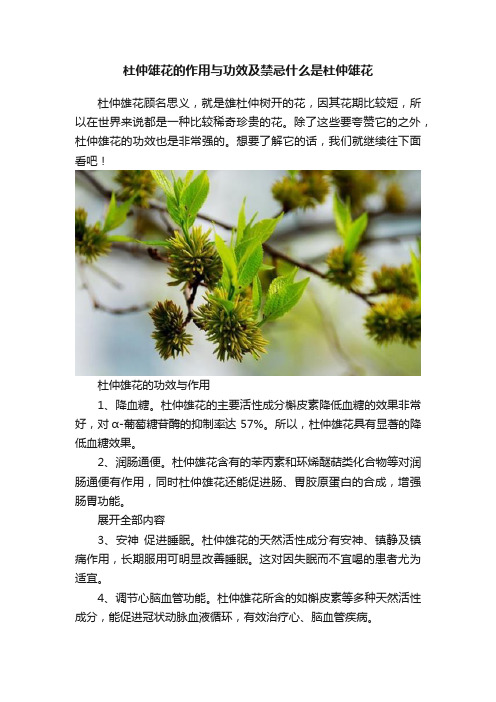 杜仲雄花的作用与功效及禁忌什么是杜仲雄花