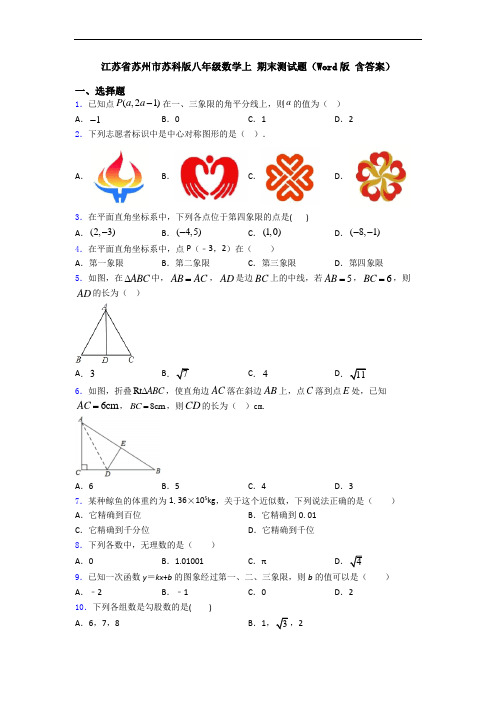 江苏省苏州市苏科版八年级数学上 期末测试题(Word版 含答案)