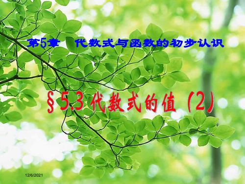 七年级数学 第五章 代数式与函数的初步认识 5.3 代数式的值 5.3.2 代数式的值习题课1数学