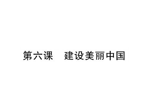 部编版九年级道德与法治上册第六课复习课件