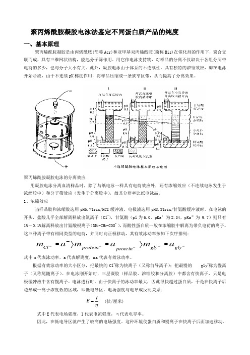 聚丙烯酰胺凝胶电泳法鉴定不同蛋白质产品的纯度