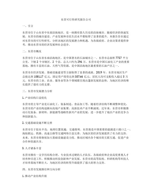 东营可行性研究报告公司