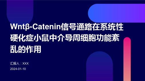 Wntβ-Catenin信号通路在系统性硬化症小鼠中介导周细胞功能紊乱的作用演示课件