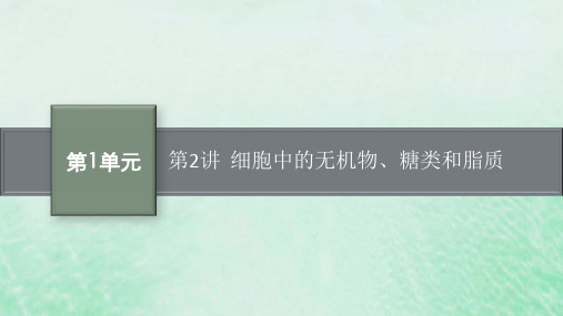 适用于新教材2024版高考生物一轮总复习第1单元细胞的概述细胞的分子组成第2讲细胞中的无机物糖类和脂