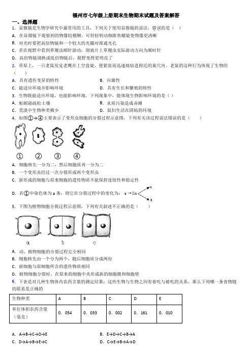 福州市七年级上册期末生物期末试题及答案解答