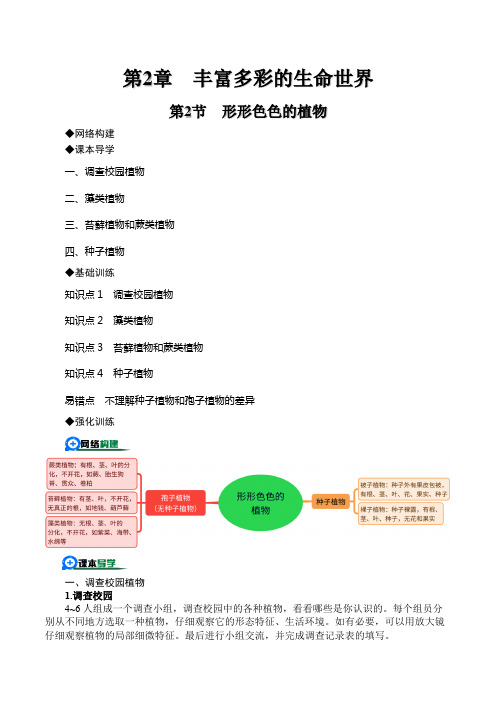 2.2形形色色的植物(原卷版)