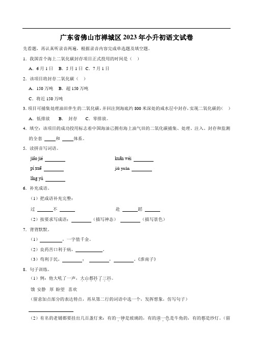 广东省佛山市禅城区2023届小升初语文试卷(含解析)