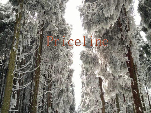 Priceline