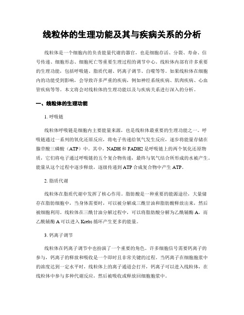 线粒体的生理功能及其与疾病关系的分析