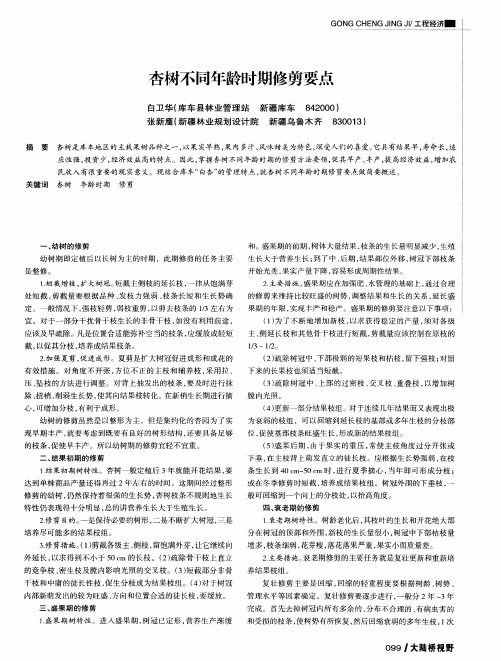 杏树不同年龄时期修剪要点