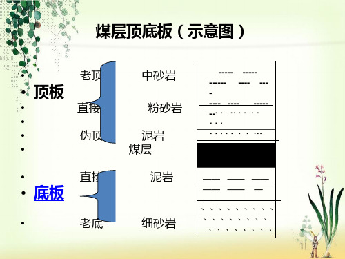 煤层顶底板PPT优秀课件