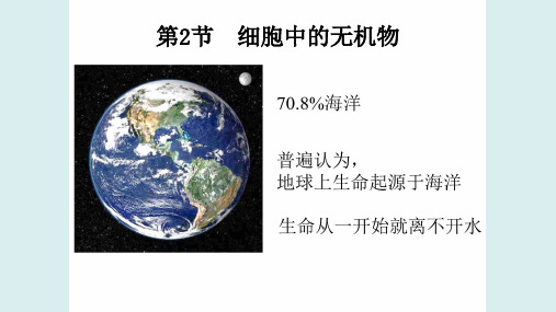 新教材高中生物必修一第二章 第2节 细胞中的无机物