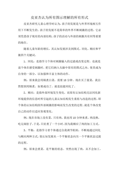 皮亚杰认为所有图示理解的所有形式