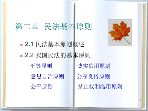 民法总论民法基本原则2017