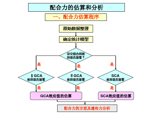 林木育种学-配合力的估算和分析