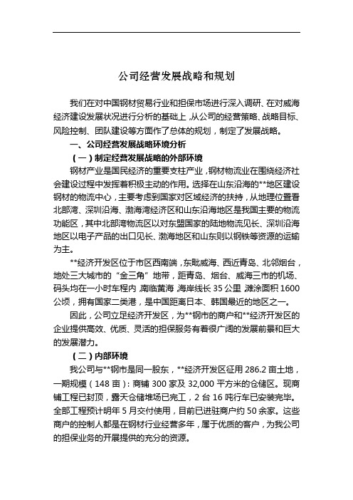 公司经营发展战略和规划