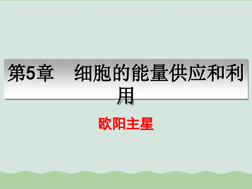 降低化学反应活化能的酶PPT课件全解27 人教课标版