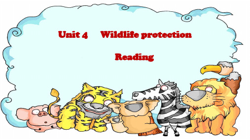 人教新课标 高中英语必修二Unit 4 Wildlife protection 课件