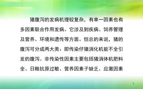 猪常见腹泻病的防治PPT演示课件