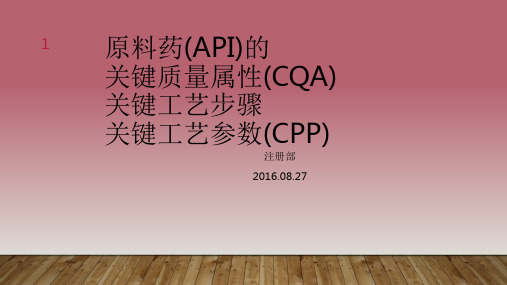 原料药CQA-CPP培训PPT演示幻灯片