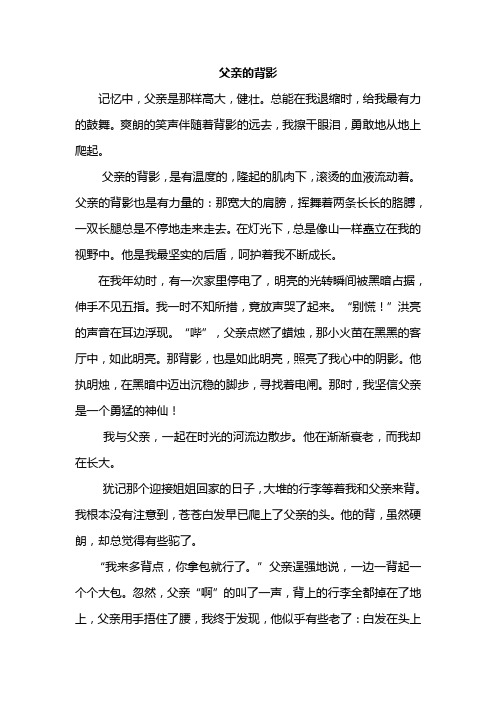 《父亲的背影》作文范文