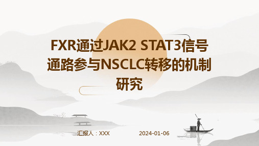 FXR通过JAK2 STAT3信号通路参与NSCLC转移的机制研究演示稿件