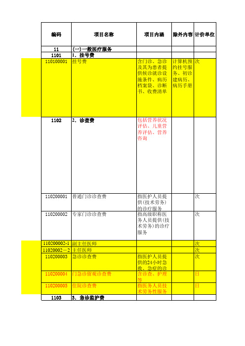 医保诊疗项目目录