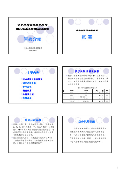 洪水风险图编制规划与国外洪水风险图编制实例