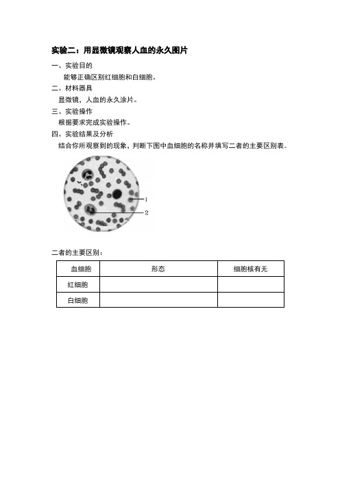 实验二.用显微镜观察人血的永久图片