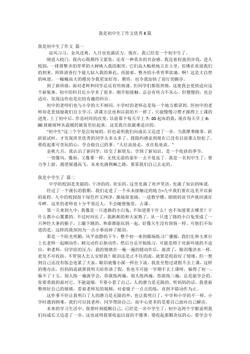 我是初中生了作文优秀6篇