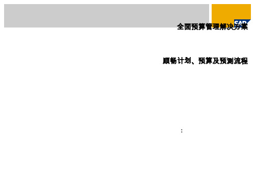 全面预算管理解决方案顺畅计划预算及预测流程.ppt