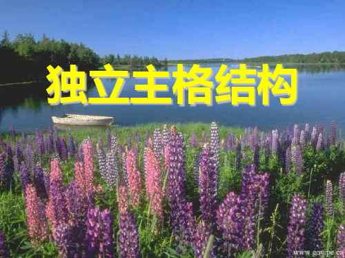 高考英语独立主格结构优选PPT