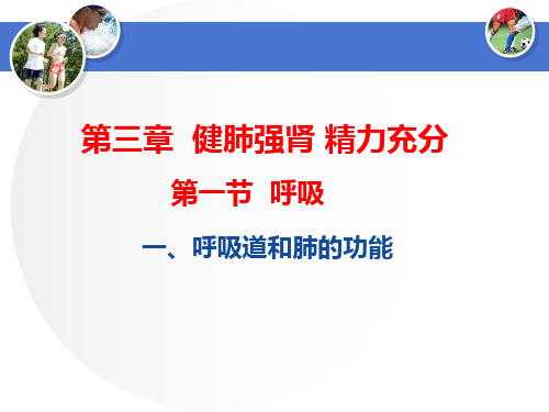 冀教版七年级下册第二单元 我们的身体与健康的生活第一节 呼吸 课件