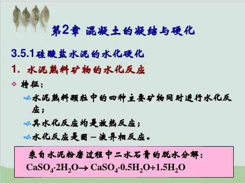 混凝土的凝结与硬化PPT课件(46页)