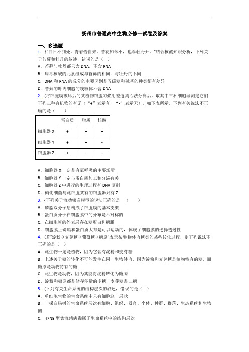 扬州市普通高中生物必修一试卷及答案