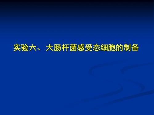 感受态细胞制备与转化