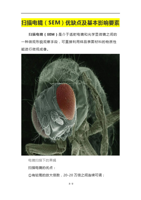 扫描电镜(SEM)优缺点及基本影响要素