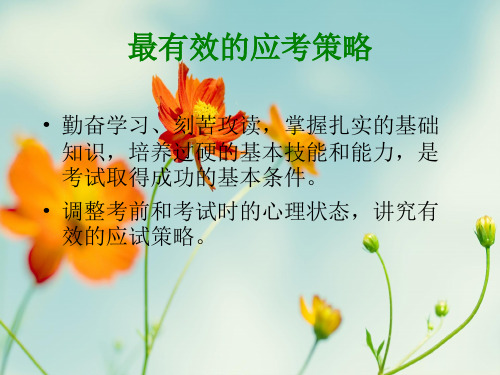 最有效的应考策略.ppt