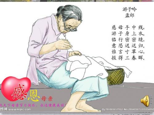 23.卡罗纳