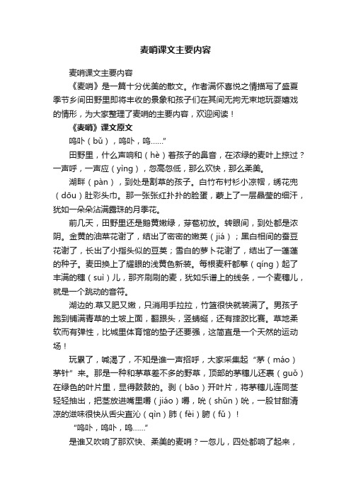 麦哨课文主要内容