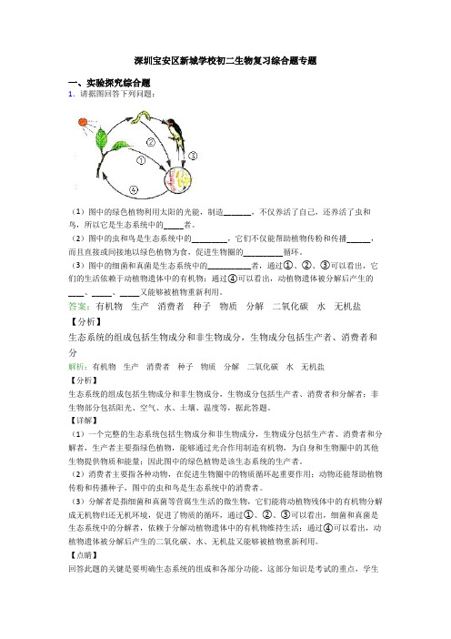 深圳宝安区新城学校初二生物复习综合题专题