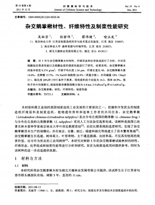 杂交鹅掌楸材性、纤维特性及制浆性能研究