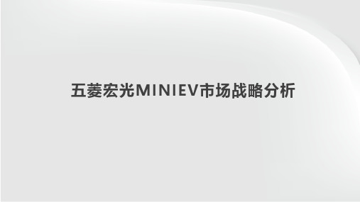 五菱宏光MINIEV市场战略分析