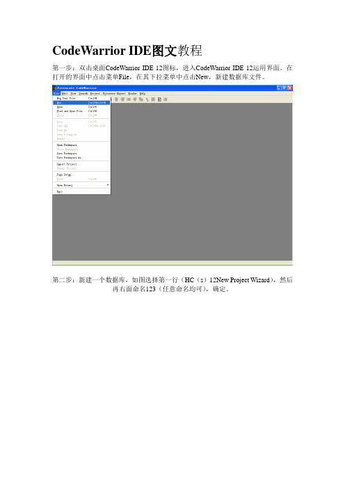 CodeWarrior IDE图文教程