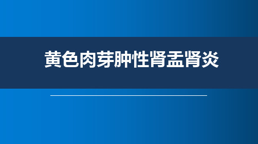 黄色肉芽肿性肾盂肾炎影像