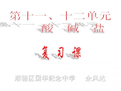 九年级化学酸碱盐2(2)