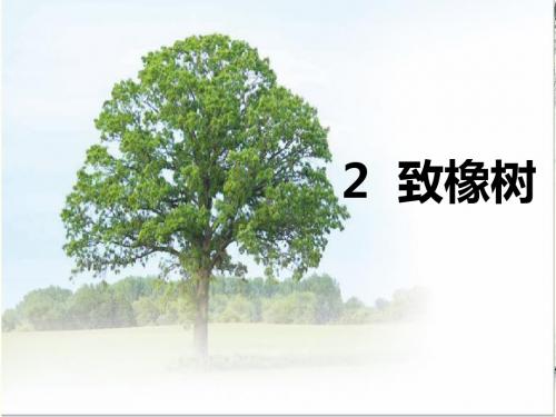 2018年秋语文版九年级语文上册课件：2致橡树 (共40张PPT)