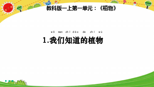 新教科版小学一年级科学上册《我们知道的植物》优质教学课件