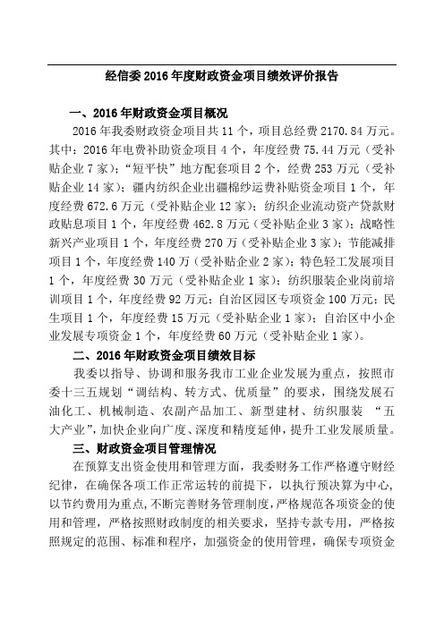 经信委2016年度财政资金项目绩效评价报告