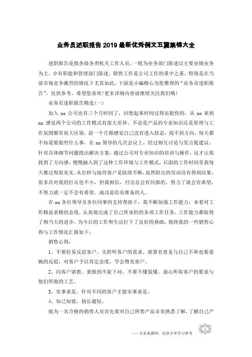 业务员述职报告2019最新优秀例文五篇集锦大全
